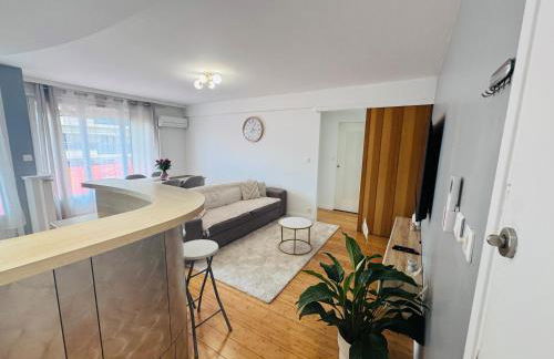 LE CARRAS - Proche de aéroport , Plage à pied - Promenade des anglais - Foto 13