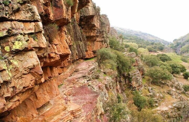 Finca Encinar de las Flores - Photo 30