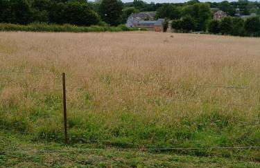 la clé du bouton d'or - Foto 7