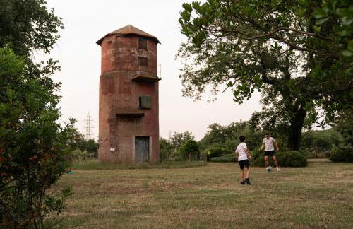 Tenuta di Paganico - I Roggeti - Foto 20