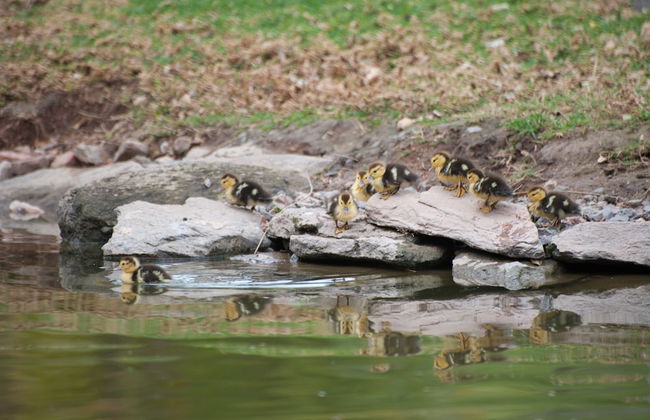 De Werf Lodge - Photo 35