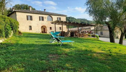 Tipico casolare toscano Tenuta della Selva - Foto 1, Garden, sunbed, Garden view