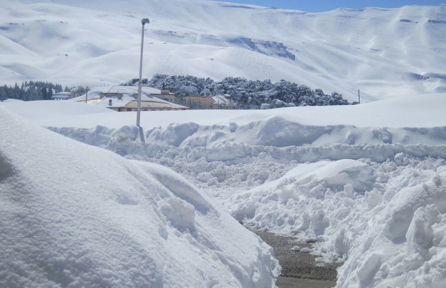 Cedars Palace - Foto 22