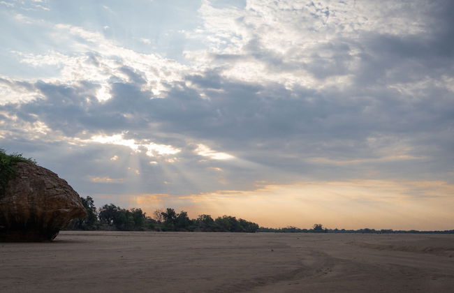 Shalimpo Safari Home - Mashatu Game Reserve - Foto 21