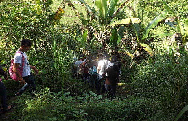 Visite de la ferme de Mama Lulu - Photo 3