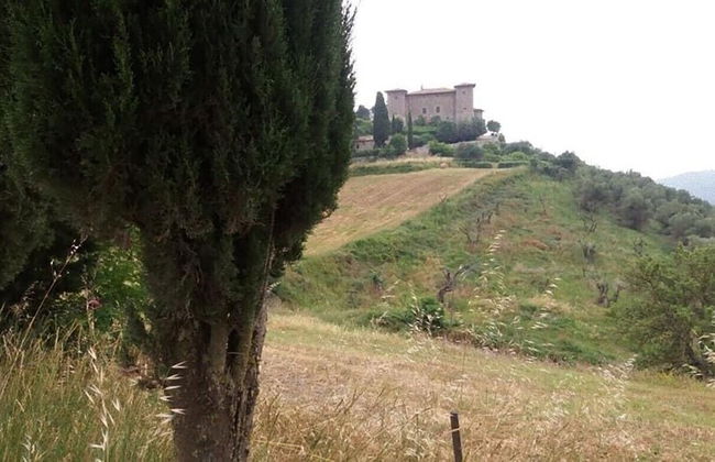 House, Villa - Polveraia, Scansano, Grosseto - Foto 21