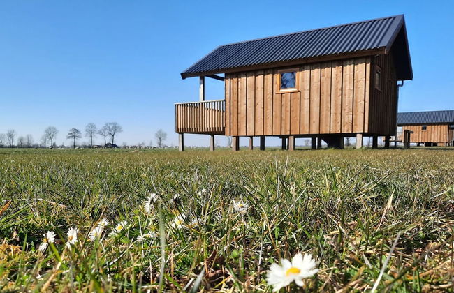 Lodge in Drenthe With Scenic Veranda - Foto 1