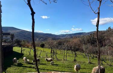 Quinta do Passal - Foto 48