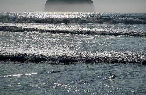 Old Chapel House - Foto 48