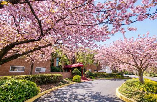 Large 2BR2BA Apartment Ideal for Long Stays - Foto 19