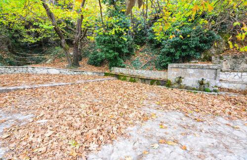 The Theater of Dreams - Foto 6