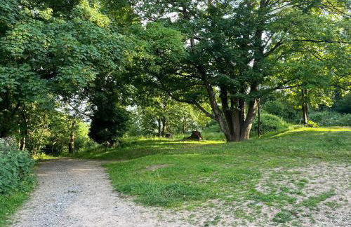 Cosy Studio on the Mendip Way - Foto 19