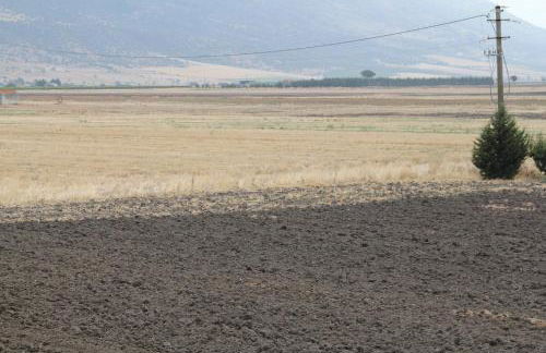 Agriturismo Silos Agri - Foto 38