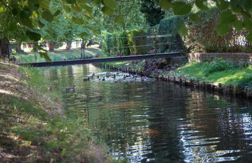 FeWo Elbdeichliebe - Photo 28