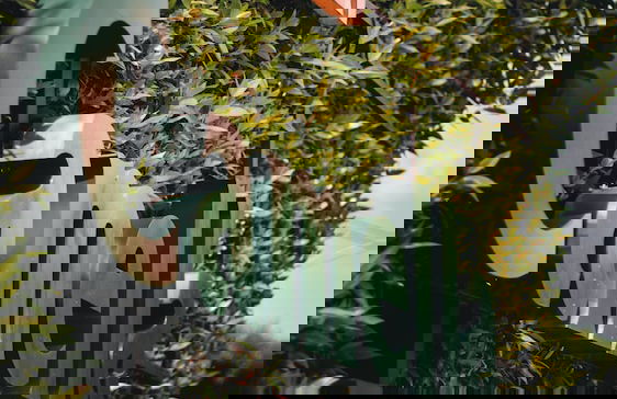 Catalina Majorca - Foto 41