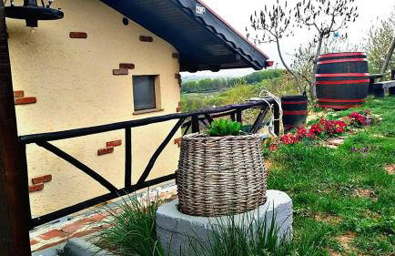 Kuća sa apartmanima Šemnica - za odmor i proslave! - Photo 12