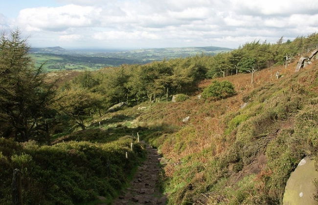 Roaches Cottages - Foto 14