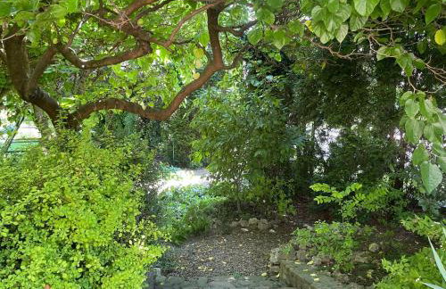 Uroczy dom i bezpłatny parking - Foto 25