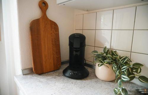 Lichtdurchflutete Altbauwohnung direkt an der Oder - Foto 15