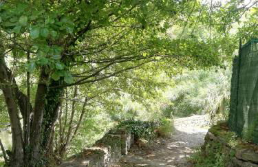 Monolocale con giardino e parcheggio privato CITRA zero zero ottanta trentuno LT 0281 - Photo 37