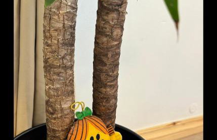 Sunset View 2BR Apartment - Beautiful London View & Free Parking - Foto 33