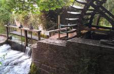 Les roses à la plage - Foto 16