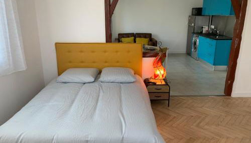 Room in Toulouse - T2 Toulouse Saint Martin du Touch - Foto 5