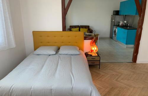 Room in Toulouse - T2 Toulouse Saint Martin du Touch - Foto 5