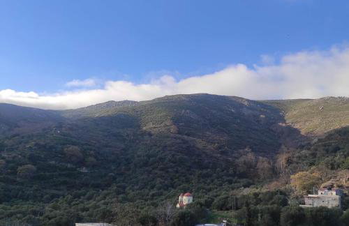 Alexander's cottage - Foto 25