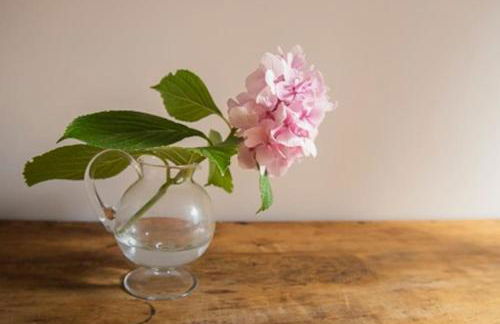 Villa colonial Jardin Algorta centro Puerto Viejo - Foto 10