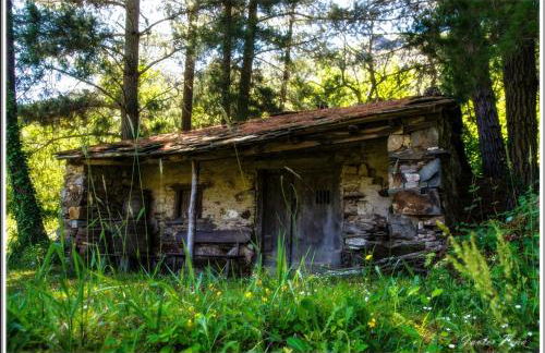 Casa Rural Chao de Castro - Foto 19