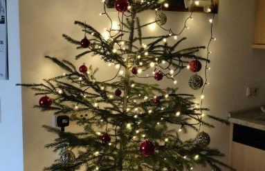 Ferienwohnung Herbst - Foto 28