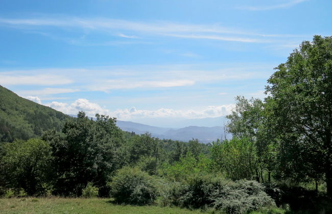 Al Faggio (GLL120) - Foto 17