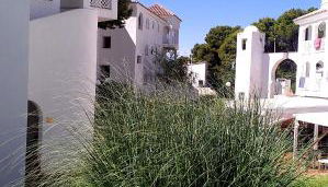 AP Costas - Complejo Al Andalus - Foto 5, Garden