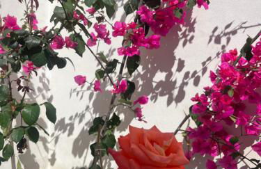 Appartamento SOLE in Villa Giulia sul Mare - Foto 14