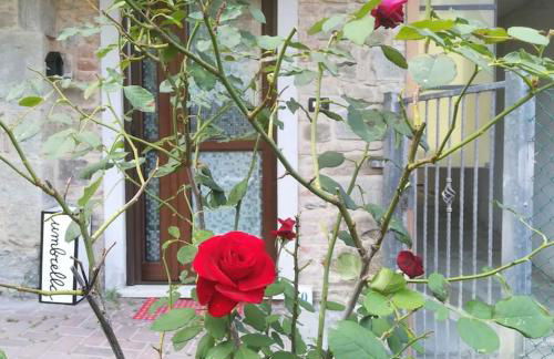 Appartamento Poli con giardino - Foto 25