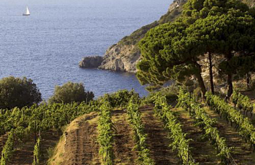 Homeliday RELAX - Foto 60