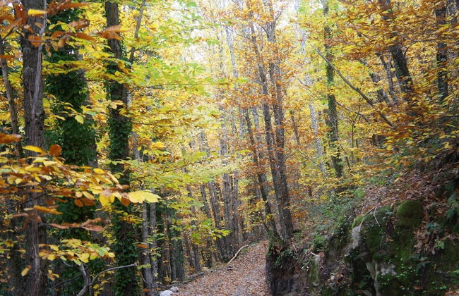 Casa Rural Estrela - Foto 19