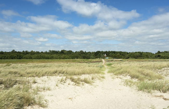 "Lottje" - 300m from the sea - Foto 4