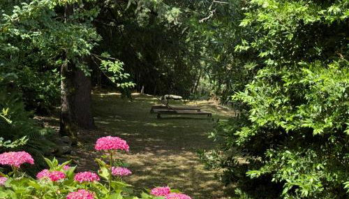 Les Cèdres - Photo 4, Garden