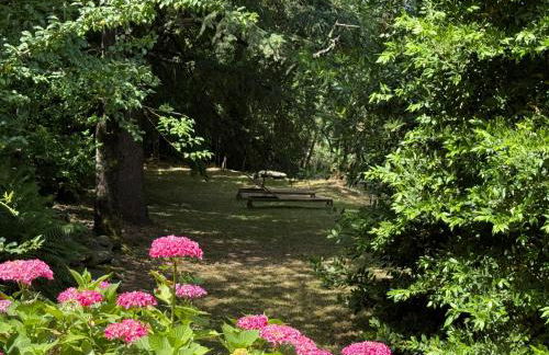 Les Cèdres - Foto 4