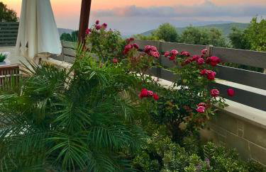 Villa Chryssi - Foto 6