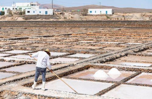 Los Majos Fuerteventura - Photo 33