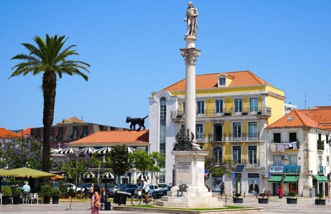 Arrabida and Bacalhoa Wine Tasting Private Tour from Lisbon - Photo 15