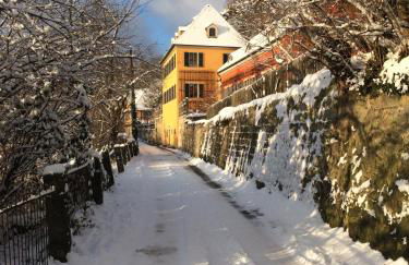 Dichterhaus Dresden - Foto 2