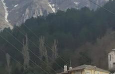 Dora's Home - Photo 14