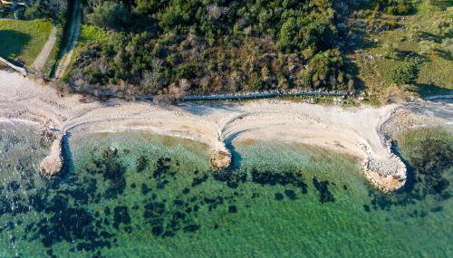 Orchid Stay - Foto 3