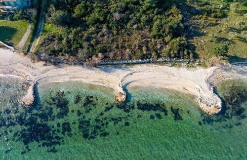 Orchid Stay - Photo 3