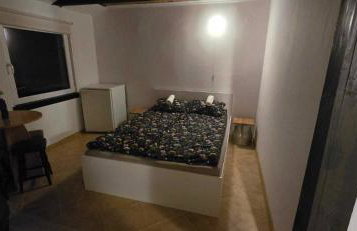 zielono mi - Foto 66