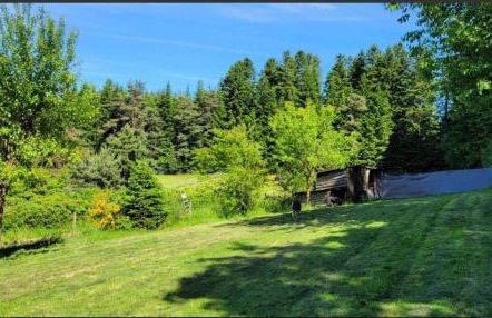 La Coquette du Bois - Wifi, Cosy, Familial, Calme, Bord de forêt - Foto 12